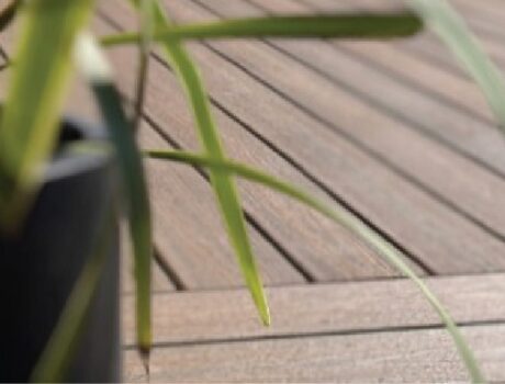 images-08